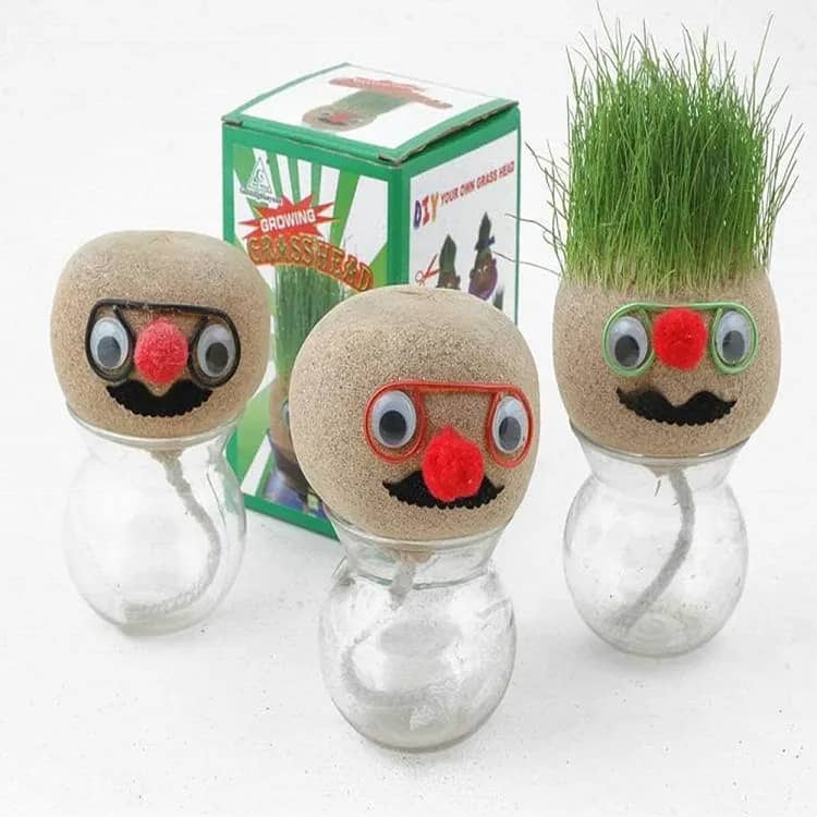 Grass Head | DIY Grass Head Dolls Growing Kit - Grow & Learn With Fun 1