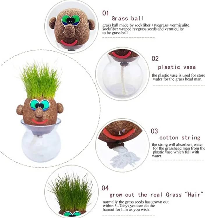 Grass Head | DIY Grass Head Dolls Growing Kit - Grow & Learn With Fun 2