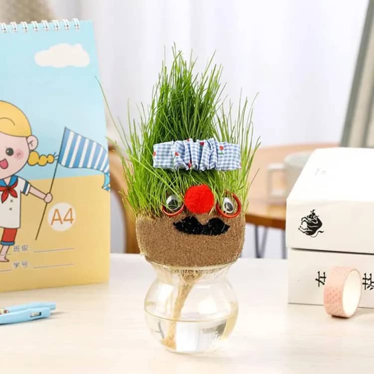 Grass Head | DIY Grass Head Dolls Growing Kit - Grow & Learn With Fun 3