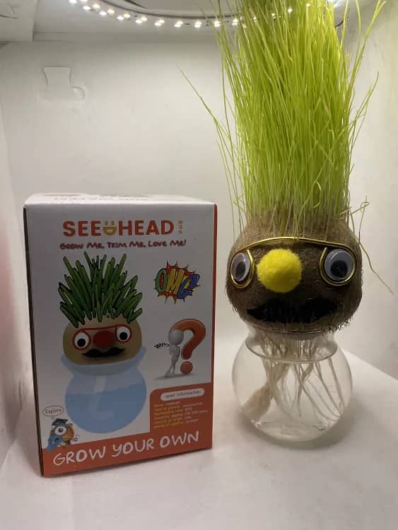 Grass Head | DIY Grass Head Dolls Growing Kit - Grow & Learn With Fun 4