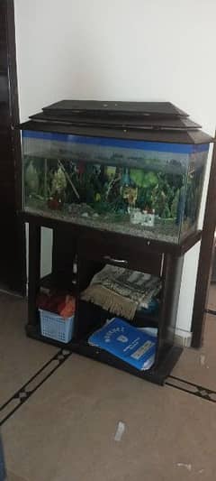 Aquarium in good condition