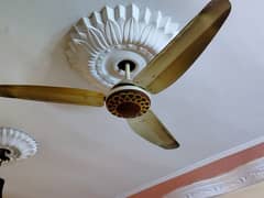 Ceilings fans working conditions available for sale