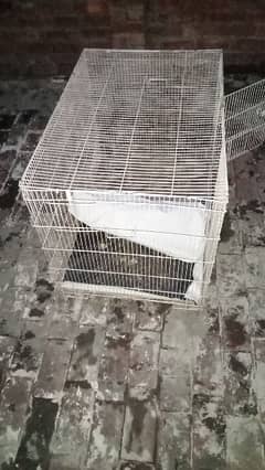 Cage for birds.