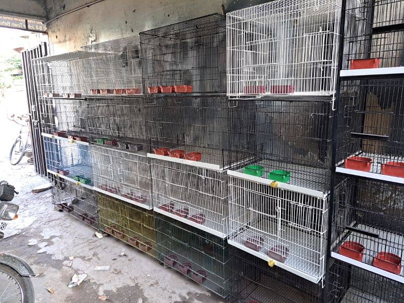 cages and breeding box available with hole sale prices 4