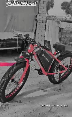 Fat Electric bicycle