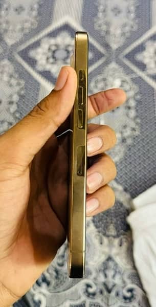 iphone 13 pro pta approved 3
