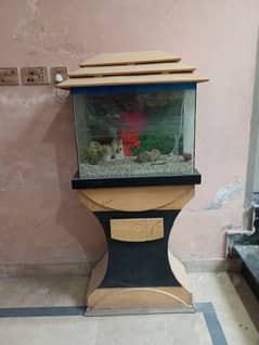 fish aquarium best condition