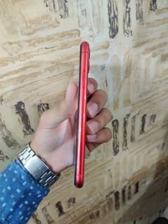 iPhone 11 Red Lobster color