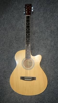Tagima Semi Acoustic Guitar