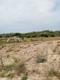 100 ksnal agriculture and farmhouse land for sale in balkasar chakwal