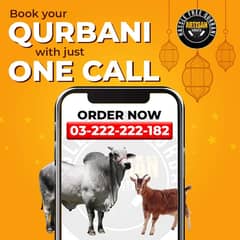 Qurbaani Service in Lahore - Qurbaani mae Asani - Hissa - Qurbani