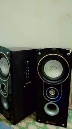 Audionic speaker