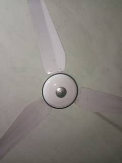 celling fan in low price