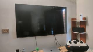 Like NEW TCL P635 65" TV within warranty
