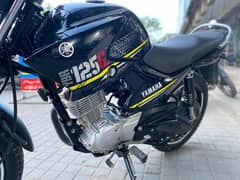 Yamaha ybr 125cc bike