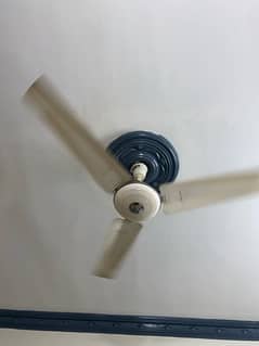 Normal Ceiling fan