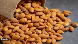 American Almond (Badam) wholesale