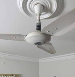 GFC and MILET FAN for sale 0331 5908044