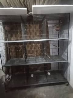 Parrot cage