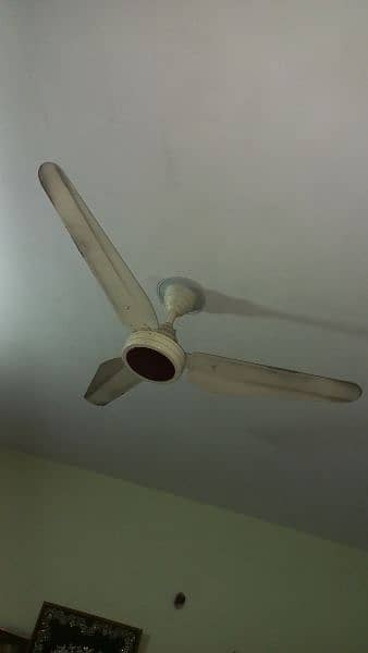 ceiling Fan 2