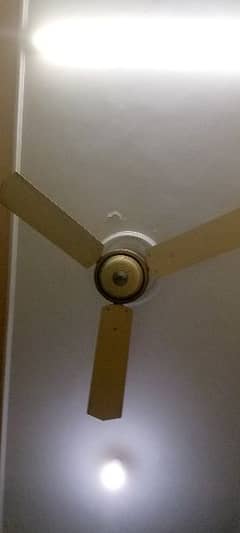 ceiling fans for sale with copper wire.