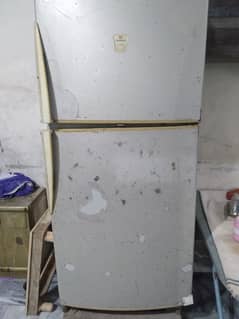 fridge,  Dawalance Signature
