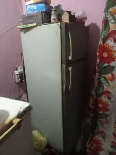 fridge and deep freezer