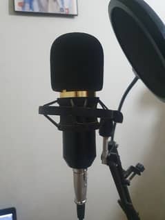 Bm800 professional studio microphone .
