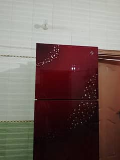 PEL PRGD-6350GD Glass Door Refrigerator (RED)