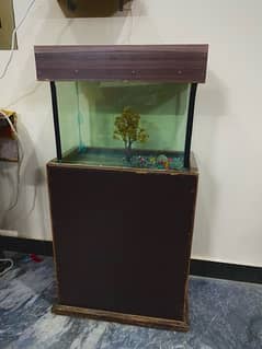 Fish Aquarium with table
