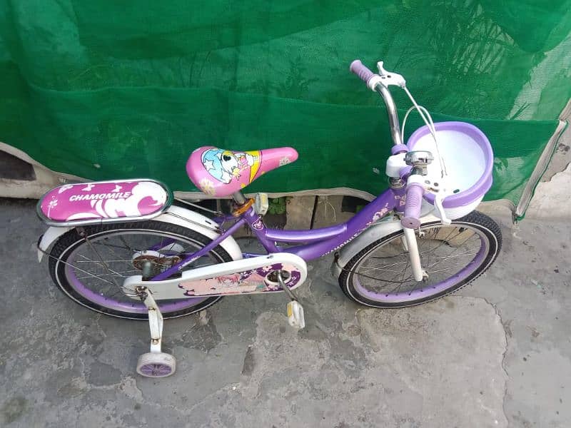 Girls cycle 20 inch 03044730527 1