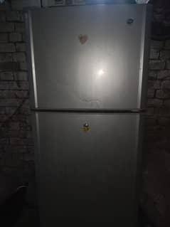 Pell Refrigerator/ Fridge
