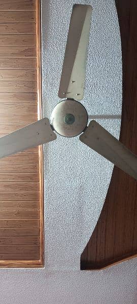 GFC, Royal, INDUS ceiling fans 1