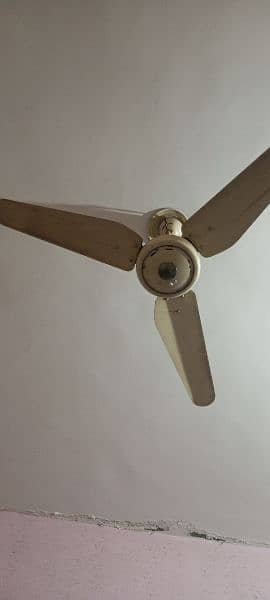 GFC, Royal, INDUS ceiling fans 3