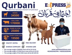 Qurbani |  ijtamai Qurbani | wacha | Goat | Cow | Charity Share