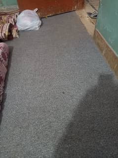 Mate Carpet