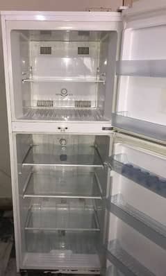 imported no frost fridge