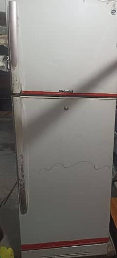 pell refrigerator medium size