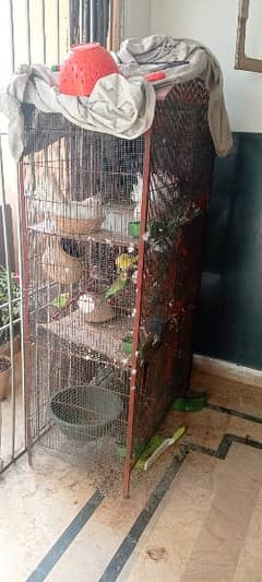 Birds With Cage