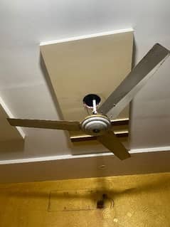 fan for home use