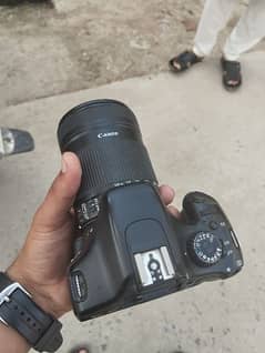 Canon 550d with elf 18-135mm auto stabilizer lens