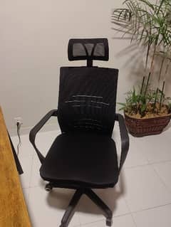 Personal Used Office Chair