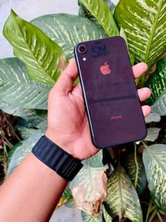 iPhone XR 64Gb Non Pta All Oky