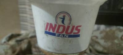 Indus fan