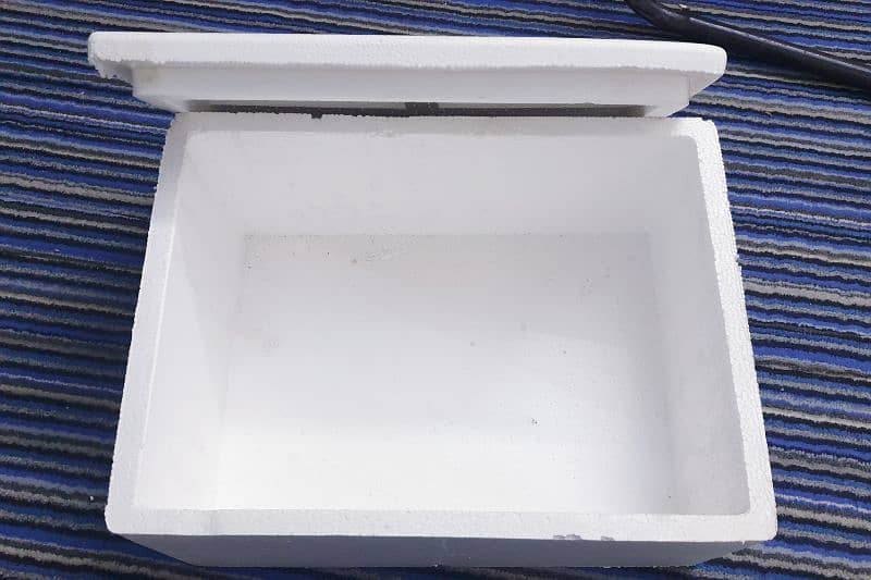 Thermocol Ice Boxes 1