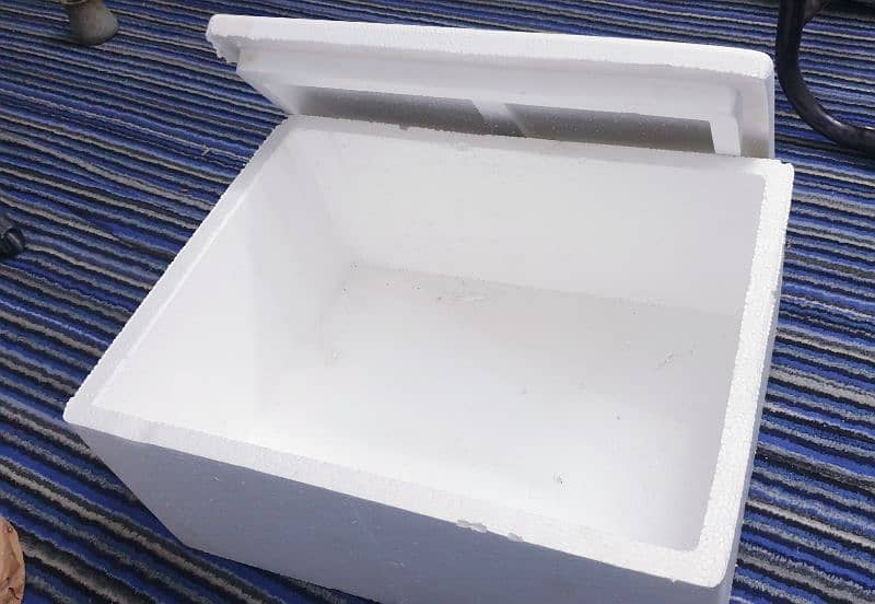 Thermocol Ice Boxes 2