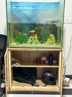 Aquarium full size with builten cabinet and all equipments, 4 fishes