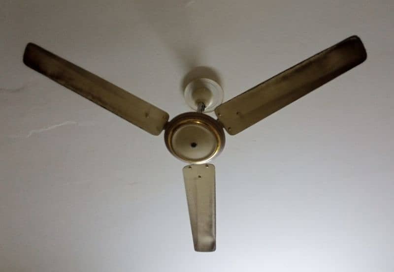 Fans for sale 1