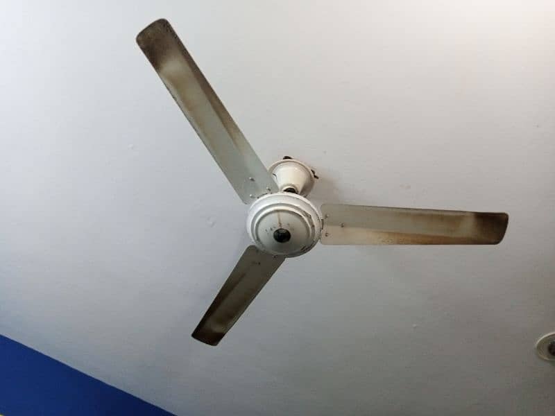 Fans for sale 2