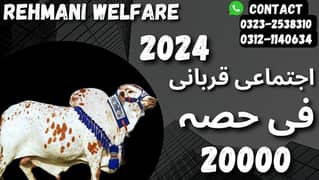 Ijtemai Qurbani 2024